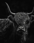 Lulu - Highland Cow
