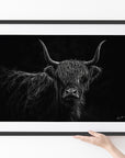 Lulu - Highland Cow