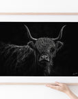 Lulu - Highland Cow