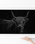 Lulu - Highland Cow