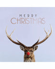 Greeting Cards