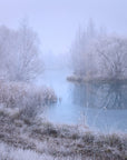 Hoar Frost - Twizel
