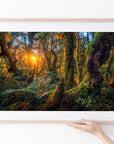 Tararua Ranges