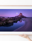Shag Rock - Christchurch