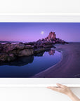 Shag Rock - Christchurch