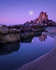 Shag Rock - Christchurch