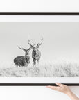 Sika Deer (02)