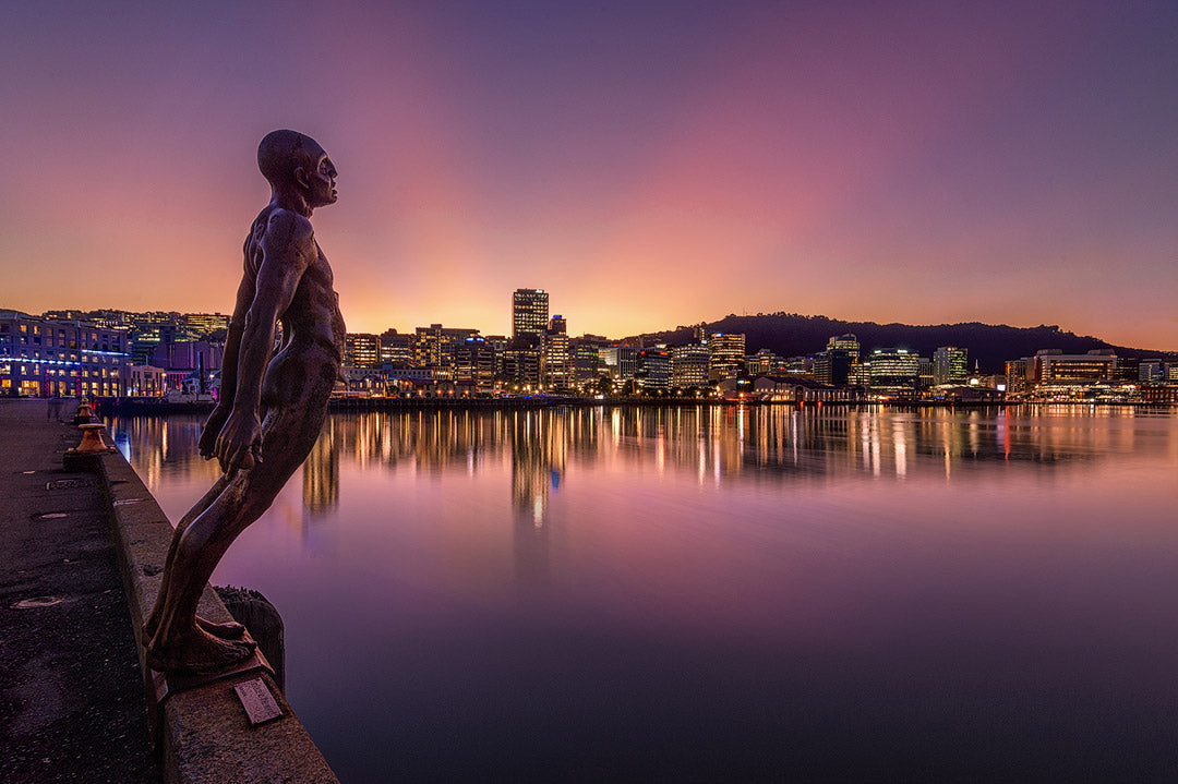 Wellington City Harbour Rachel Stevens Photography