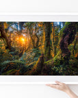 Tararua Ranges