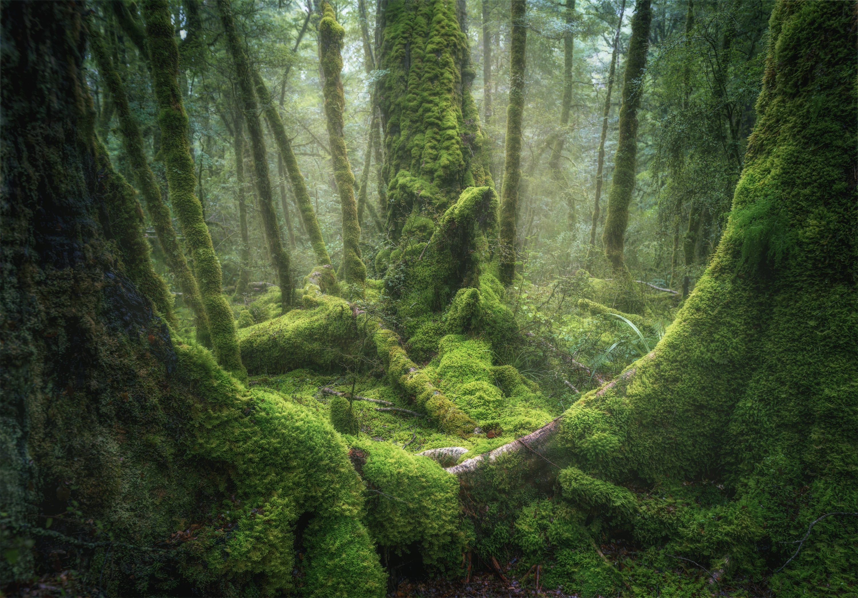 Acrylic Photo Blocks