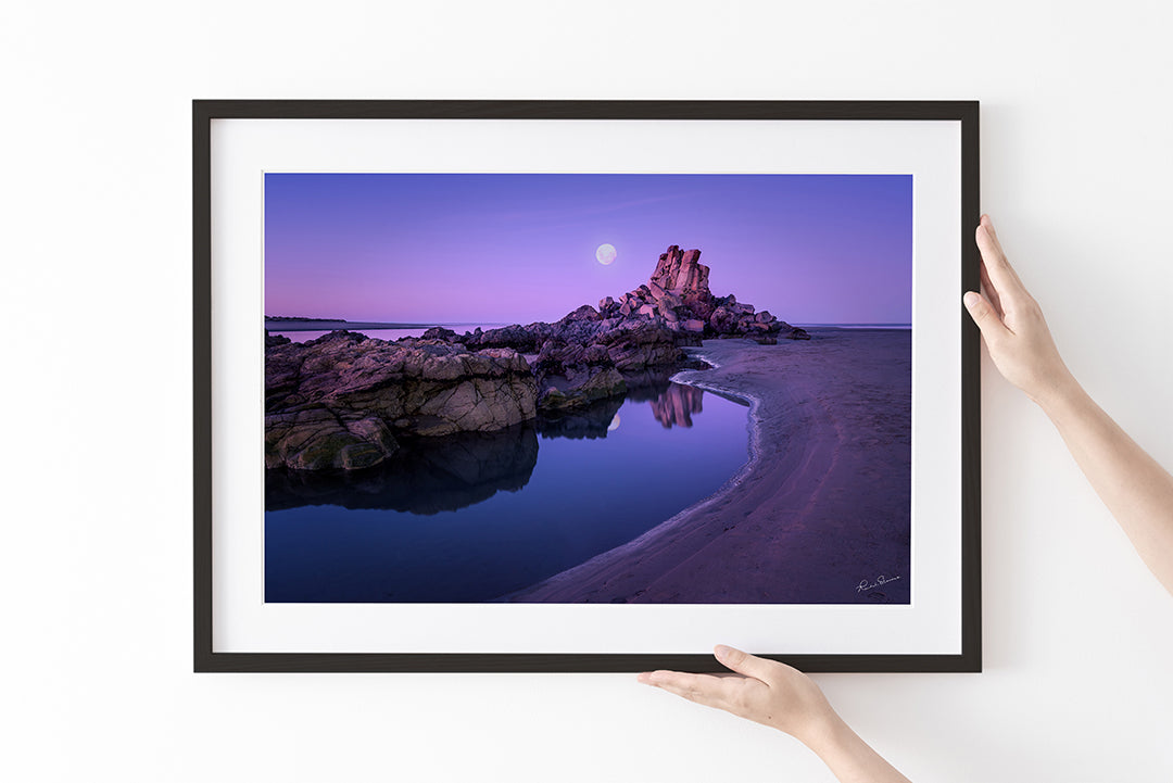 Shag Rock - Christchurch