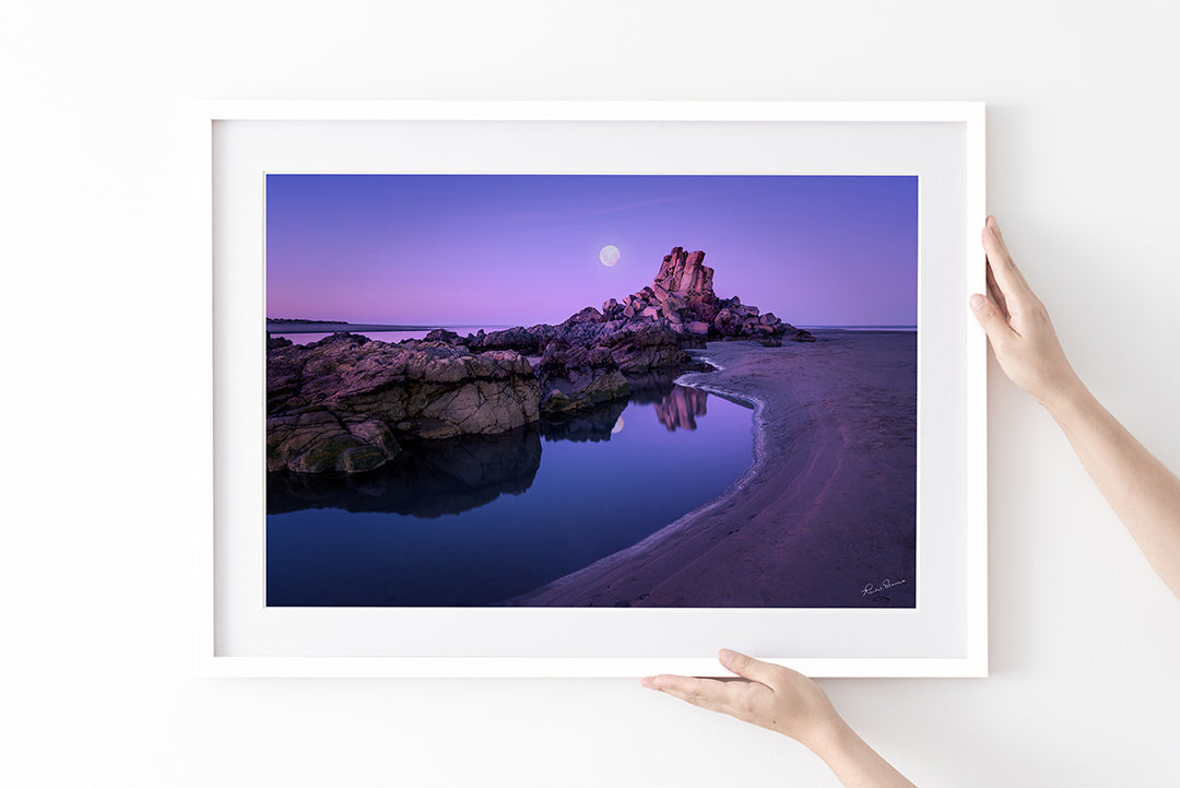 Shag Rock - Christchurch